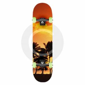 Palm Beach Skateboard